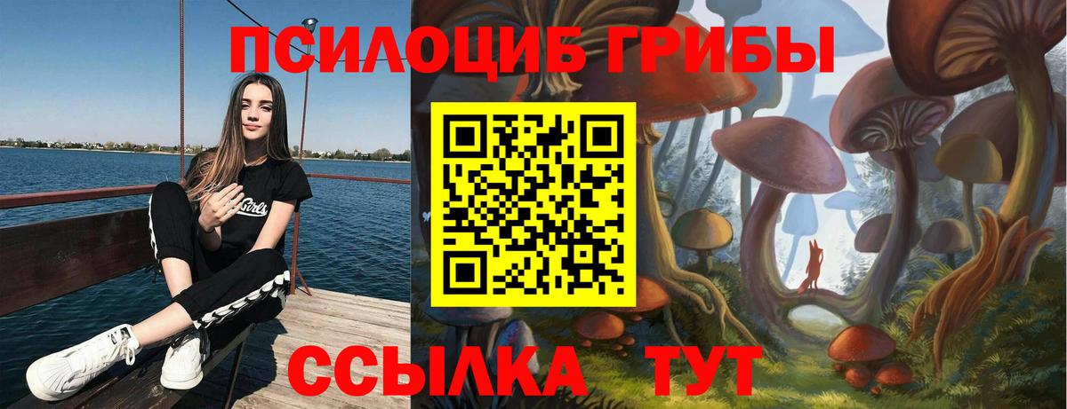 Псилоцибиновые грибы Psilocybe  закладки  Реж  Вход с VPN 